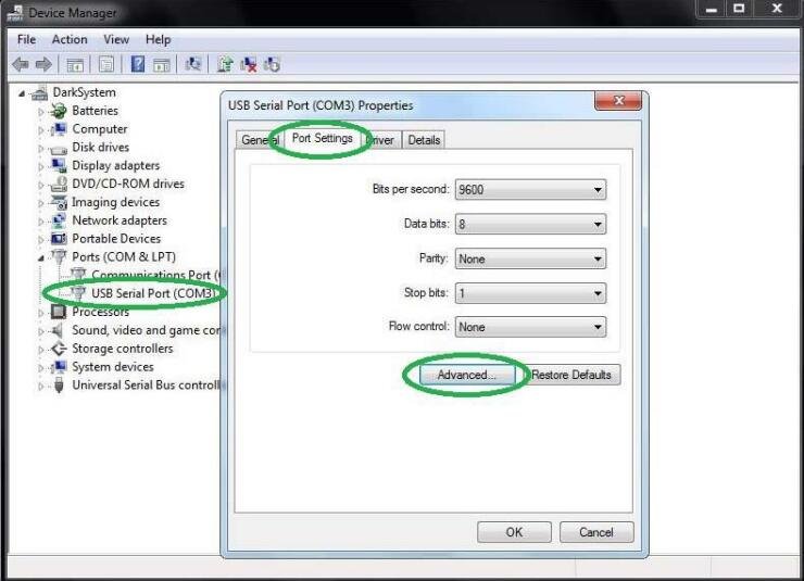 verify and configure your interface with BMW ISTA+