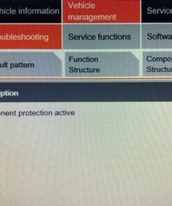 Component Protection Unlock for BMW EntryEVO ENTRYNAV2 by Remote via Enet