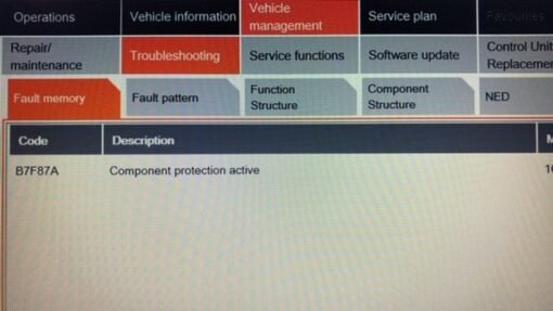 Component Protection Unlock for BMW EntryEVO ENTRYNAV2 by Remote via Enet