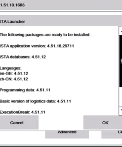 BMW ISTA BMW ISAT+ 4.51.XX update ista bmw